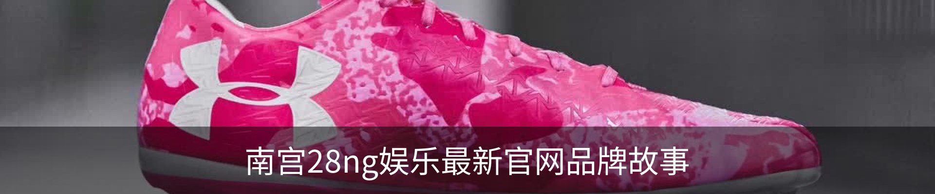 南宫28ng娱乐最新官网品牌故事